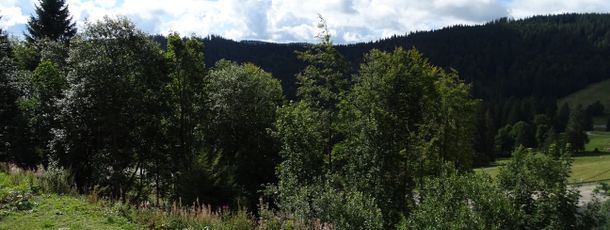 General information about your stay at Berghotel Jägermatt