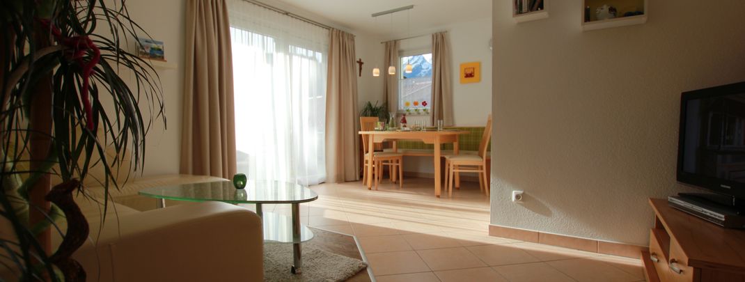 General information about your stay at Appartement Wildkogel