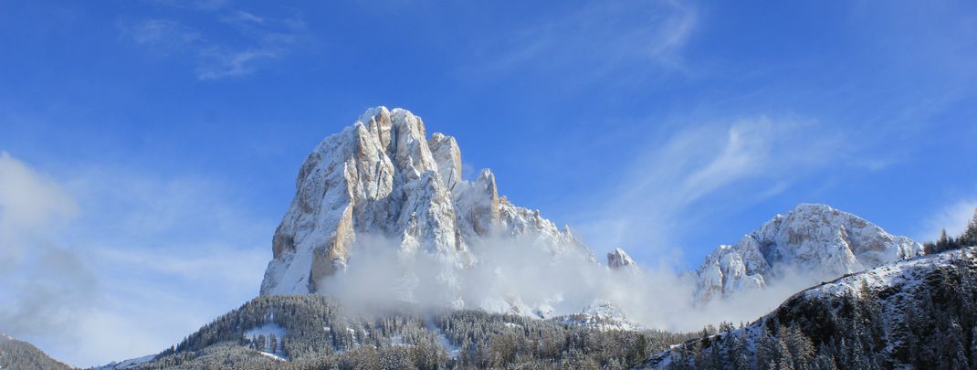 Detaillierte Infos zur Unterkunft Apartment Orchidee