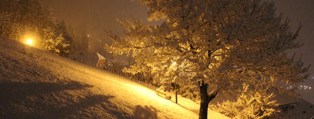 Detaillierte Infos zur Unterkunft Apartment Orchidee