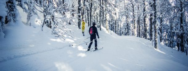Die klassisch, aber auch für Skater gespurten Loipen führen dich durch die verschneiten Wälder des Hochschwarzwaldes.