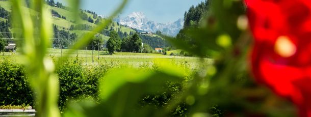 Detaillierte Infos zur Unterkunft Aparthotel Steger