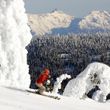 Information about the ski resort Whitefish Mountain Resort