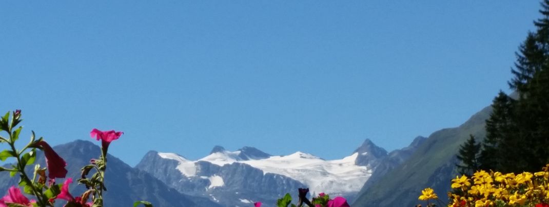 Sommer und die ganzjährig schneebedeckten Gletscher der Stubaier Alpen