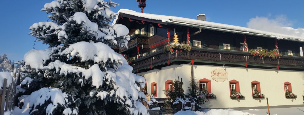 Detaillierte Infos zur Unterkunft Appartement Baby & Kinderbauernhof Stefflhof