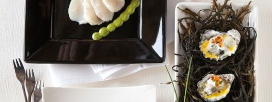 Detaillierte Infos zum Skiurlaub im Skigebiet Deer Valley