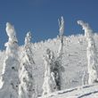 Information about the ski resort Whitefish Mountain Resort
