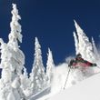 Information about the ski resort Whitefish Mountain Resort