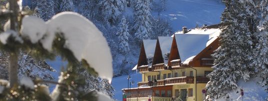 Detaillierte Infos zur Unterkunft Hotel Turracherhof