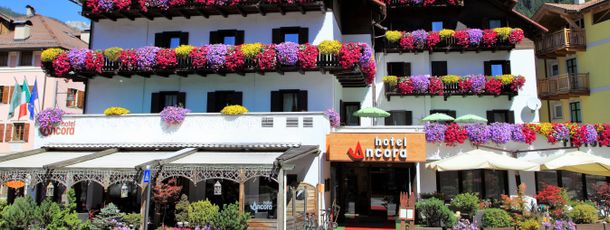 Detaillierte Infos zur Unterkunft Hotel Ancora