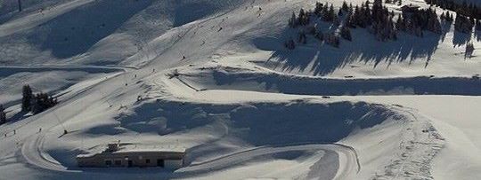 Detaillierte Infos zur Unterkunft Guggenhof - Urlaub am Bauernhof