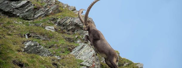 General information about your stay at Vital- und Wanderhotel Taurerwirt