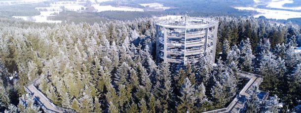 The local canopy pathway is definitely worth a visit.
