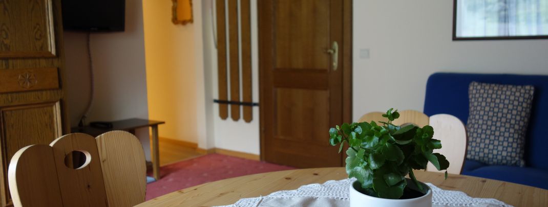 General information about your stay at Haus Salchegger