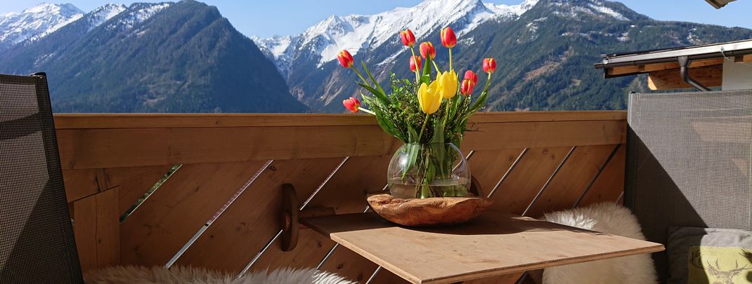 General information about your stay at Apartment Prossegger