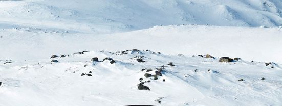 Information about the ski resort Gaustablikk