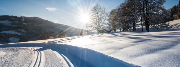 Detaillierte Infos zum Langlauf und den Loipen im Langlaufgebiet Flachau