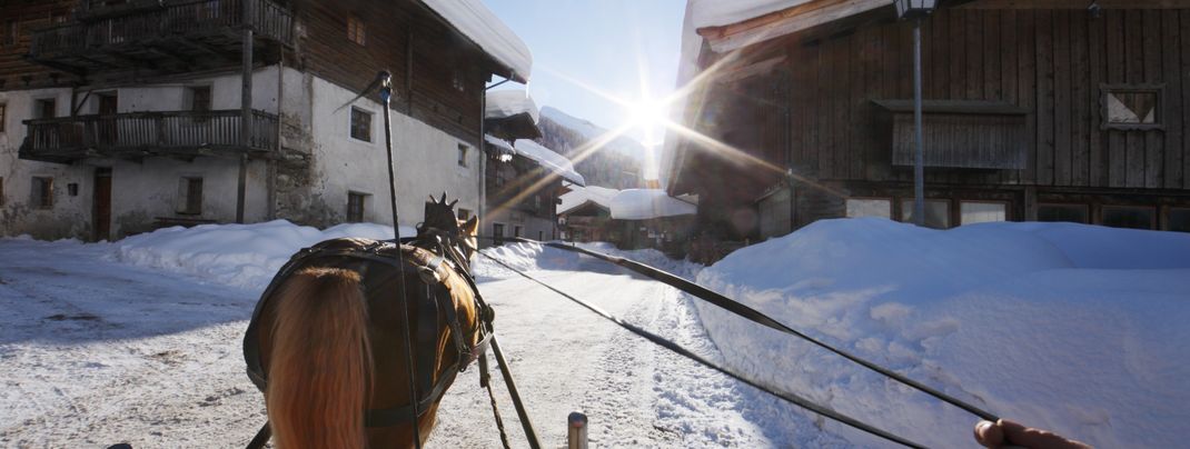 Gemütliche Kutschfahrt durch Pfelders