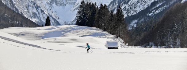 Strecken mit Blick auf verschneite Alpen