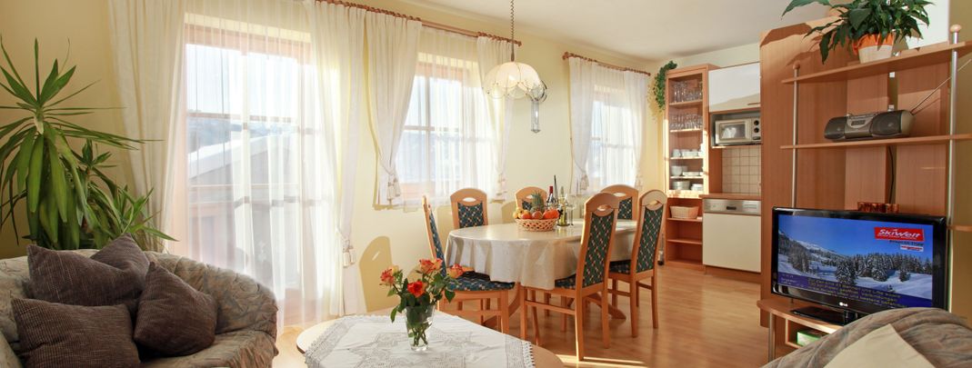 General information about your stay at Appartement Irmgard