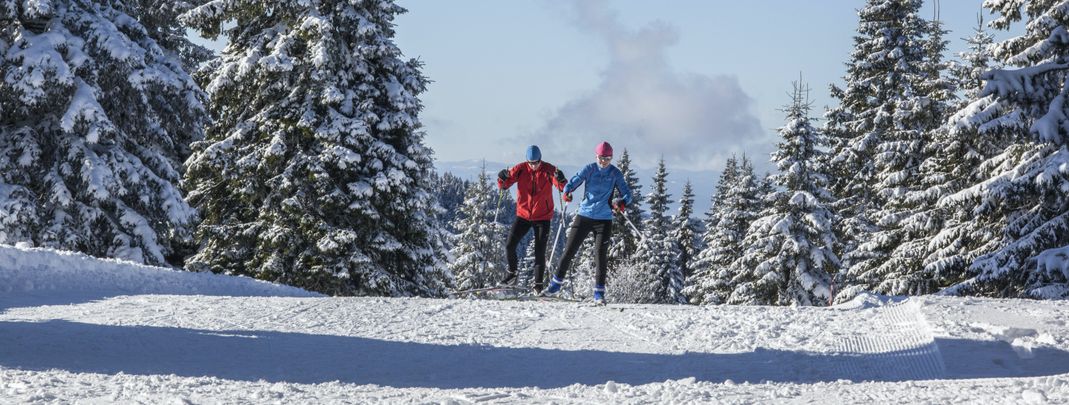 Im Schwarzwald sind die ersten Loipen bereits geöffnet.