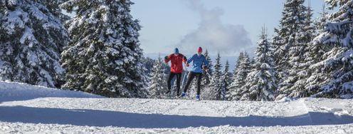 Im Schwarzwald sind die ersten Loipen bereits geöffnet.