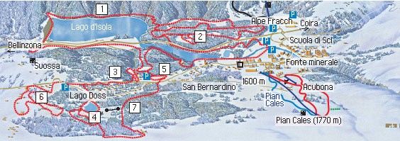Information on Cross-Country Skiing at San Bernardino