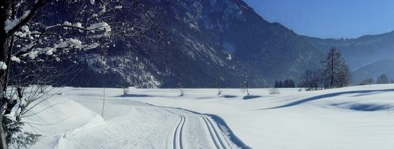 Cross-country skiing