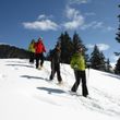 Auf Schneeschuhwanderungen kannst du die verschneite Landschaft erkunden.