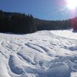 Die Skipiste beim Lift Nr. 2 eignet sich optimal zum Tiefschneefahren.
