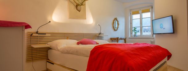 Detaillierte Infos zur Unterkunft Appartement-INNS´bruck