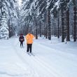 Die Langlaufloipen in Schöneck führen durch verzauberte Winterlandschaften