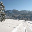 Im Winter werden die Loipen immer wieder frisch präpariert.