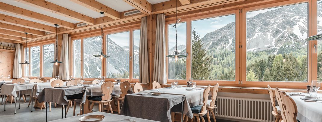 General information about your stay at Hotel Alpensonne