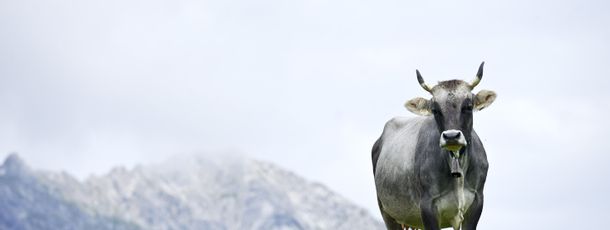 General information about your stay at Hotel-Restaurant Mohnenfluh