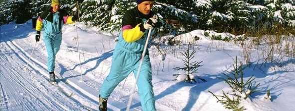 Information about the ski resort Altenfeld