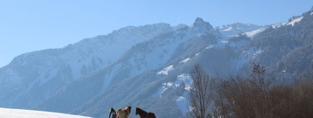 General information about your stay at Landgasthof Lilie