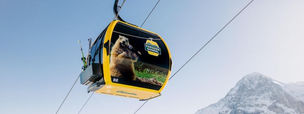 Information about the ski resort Grindelwald - Wengen