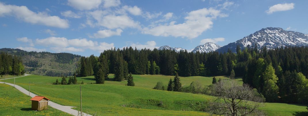 General information about your stay at Bergbauernhof Weber