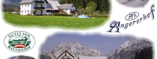 General information about your stay at Angererhof