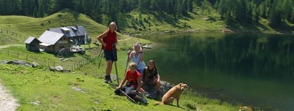 hiking - walking - cool summertime