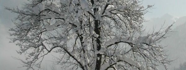 Detaillierte Infos zur Unterkunft Frühstückspension und Ferienwohnung Müllergut