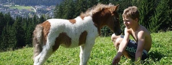 General information about your stay at Berggasthof Ferienbauernhof Habersatt