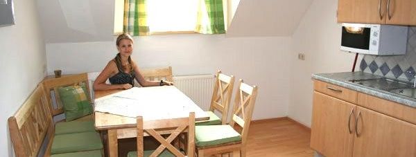 General information about your stay at Ferienhaus Ehrenreith