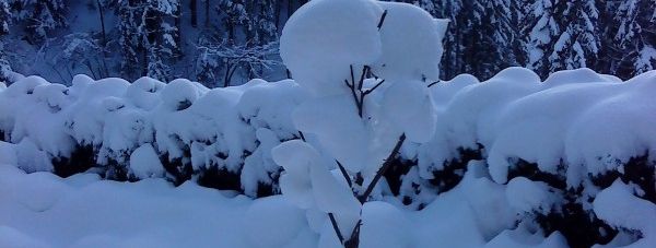 General information about your stay at Haus Göllner