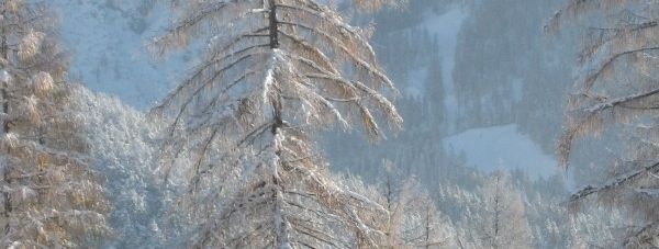 General information about your stay at Landhaus Charlotte