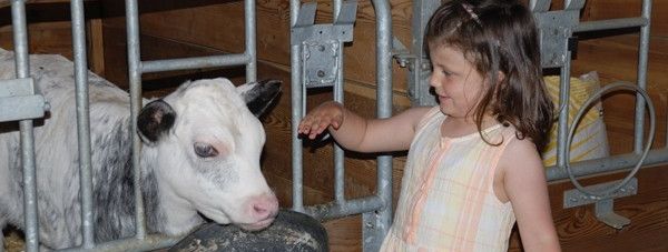 General information about your stay at Nagelehof