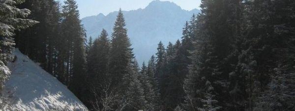 Ein schöner Rodeltag in den Lienzer Dolomiten