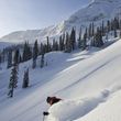 Information about the ski resort Fernie Alpine Resort