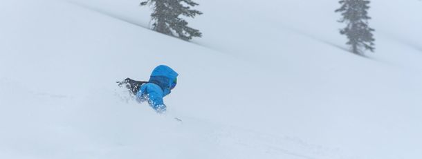 Information about the ski resort Castle Mountain Resort